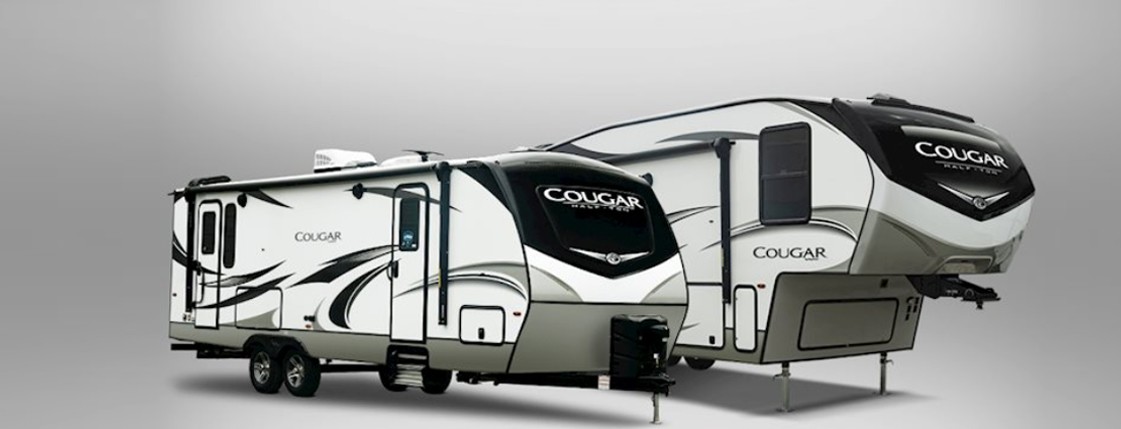 cougar